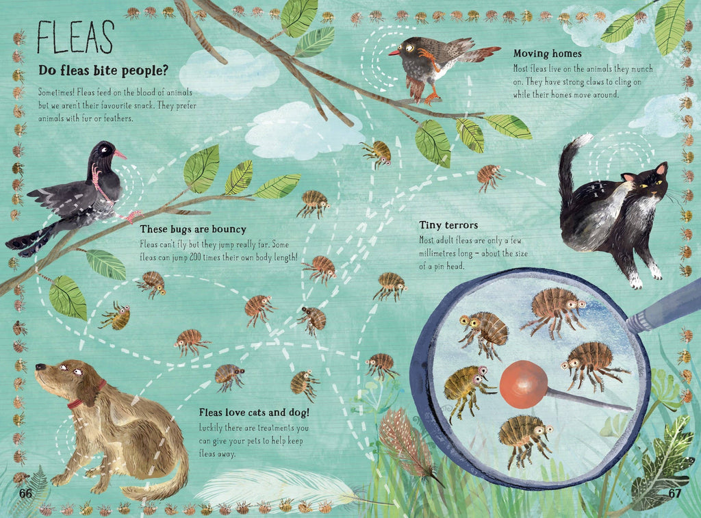 The Big Book of Bugs: 10th Anniversary Edition