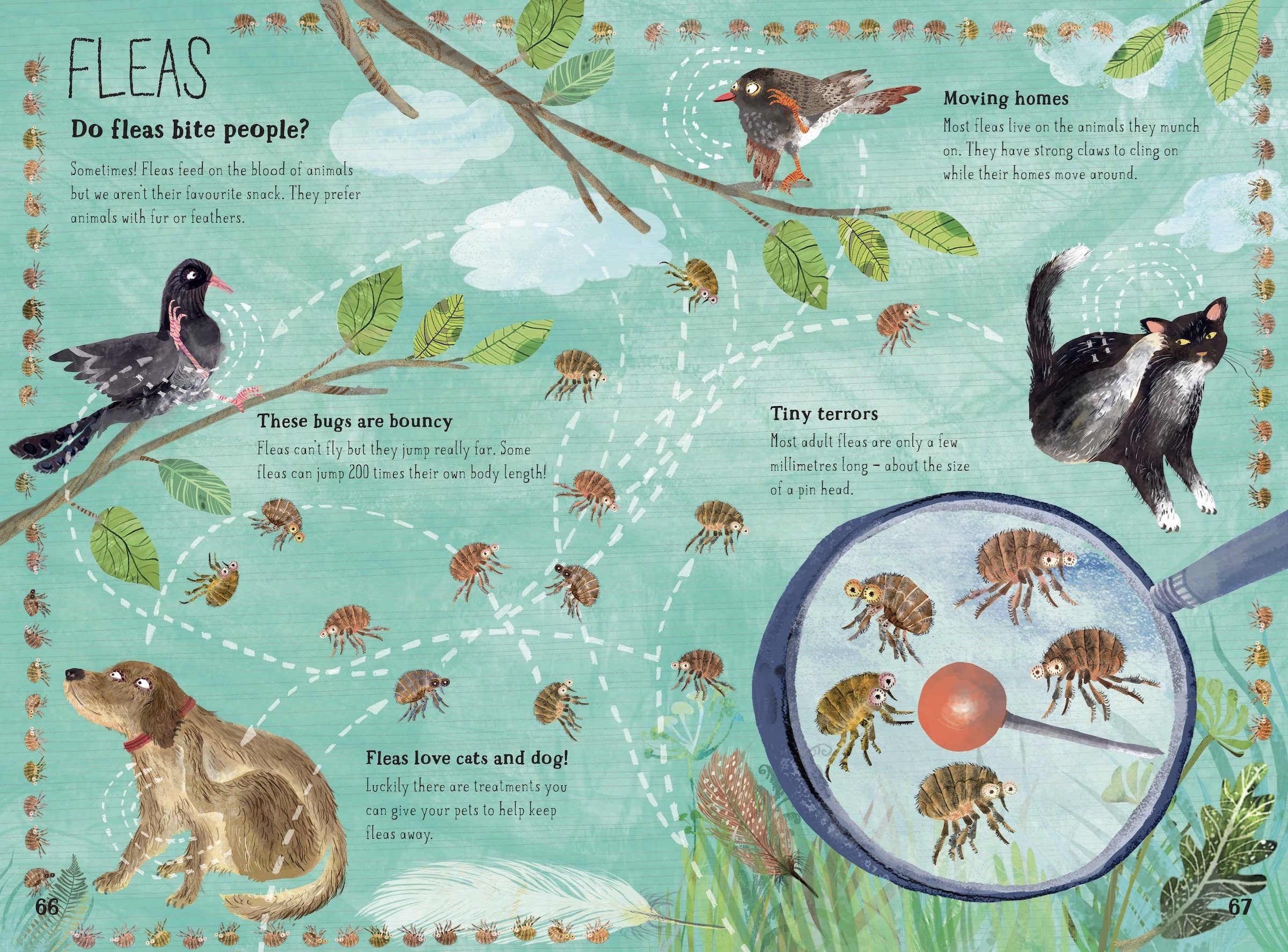 The Big Book of Bugs: 10th Anniversary Edition
