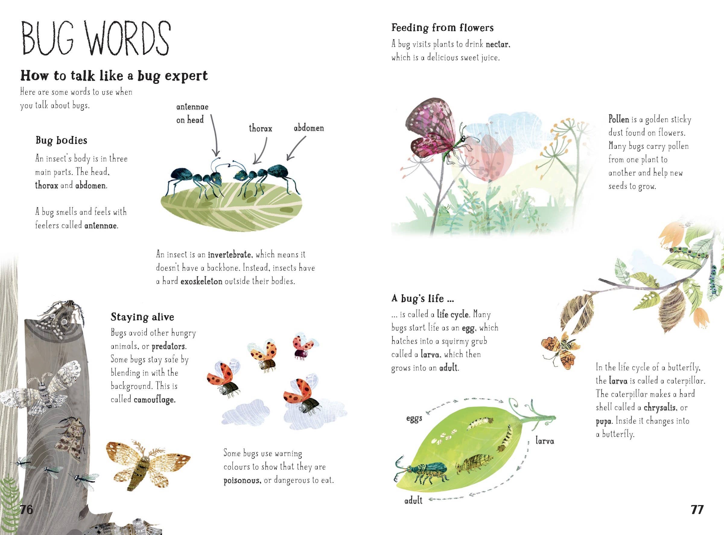 The Big Book of Bugs: 10th Anniversary Edition