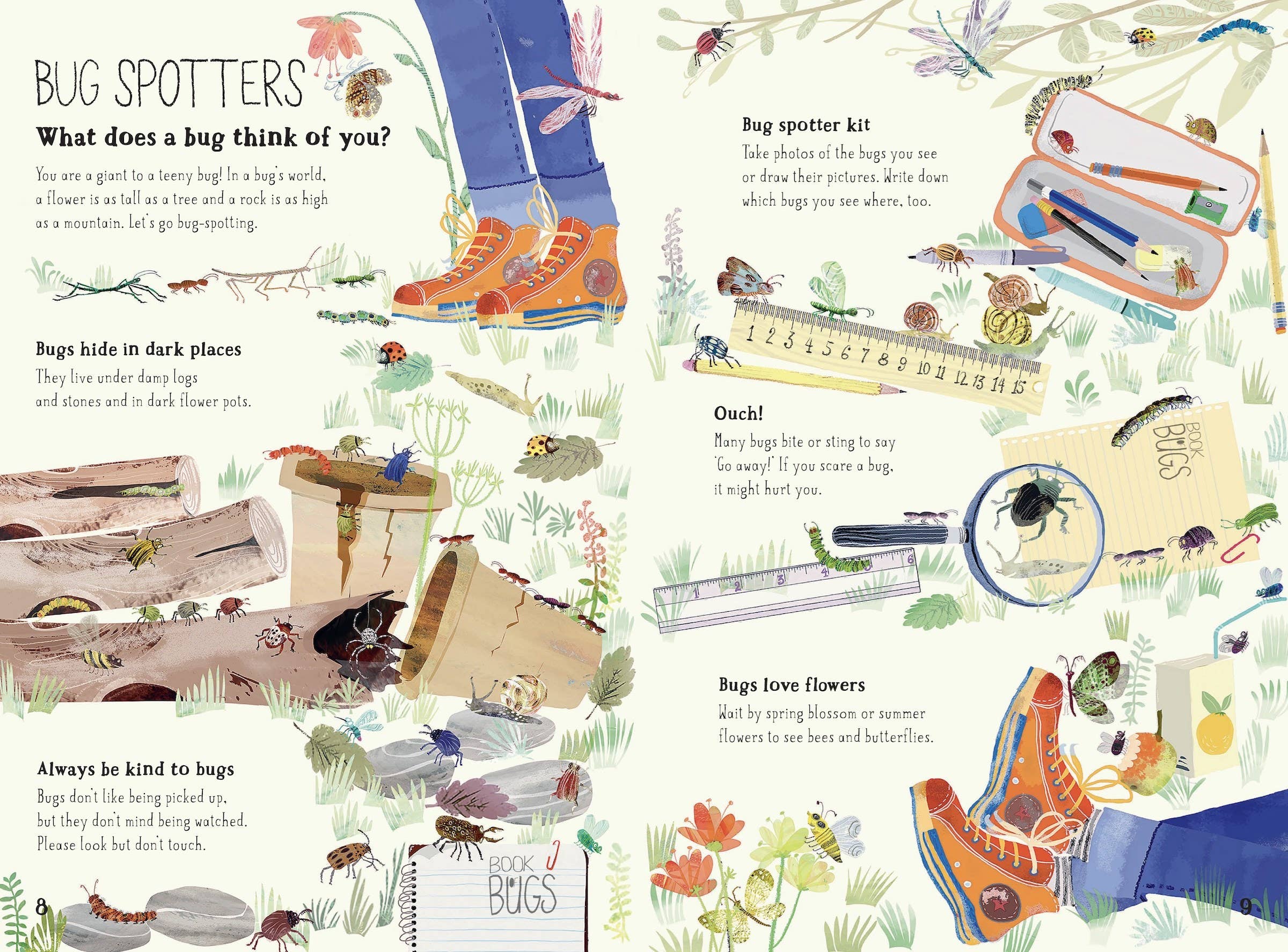 The Big Book of Bugs: 10th Anniversary Edition