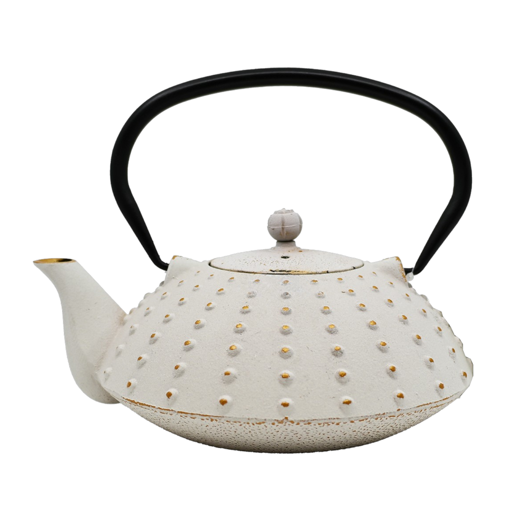 Cast Iron White Tea Pot