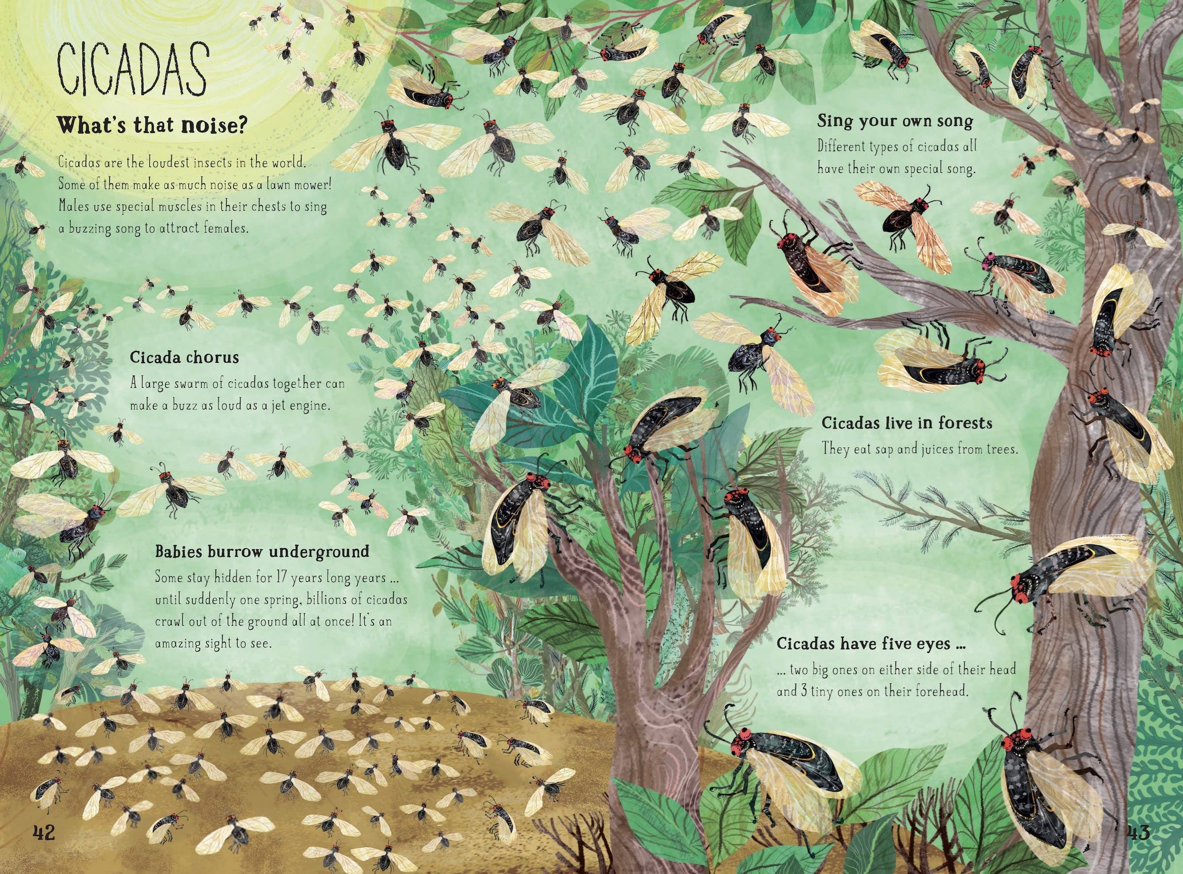The Big Book of Bugs: 10th Anniversary Edition