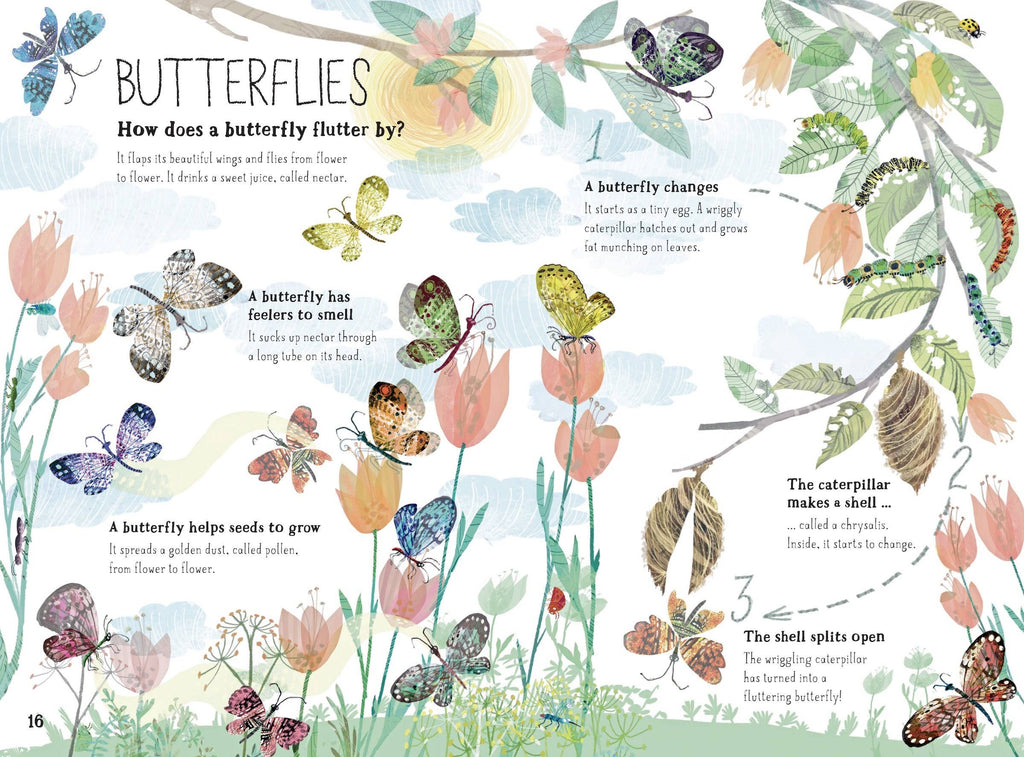 The Big Book of Bugs: 10th Anniversary Edition