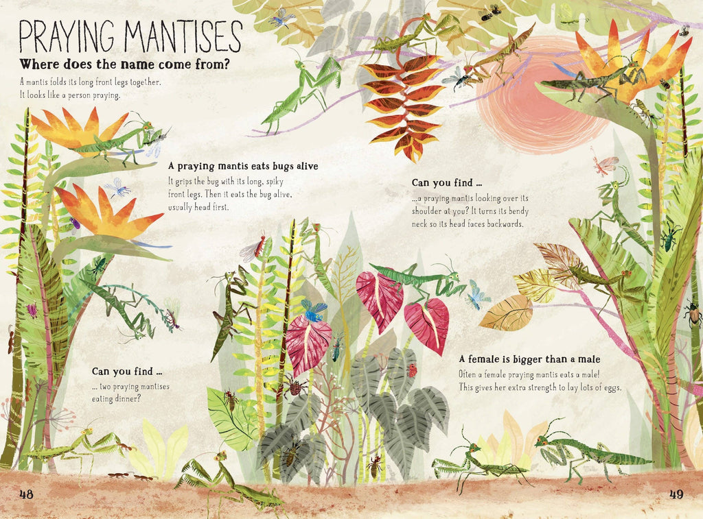The Big Book of Bugs: 10th Anniversary Edition